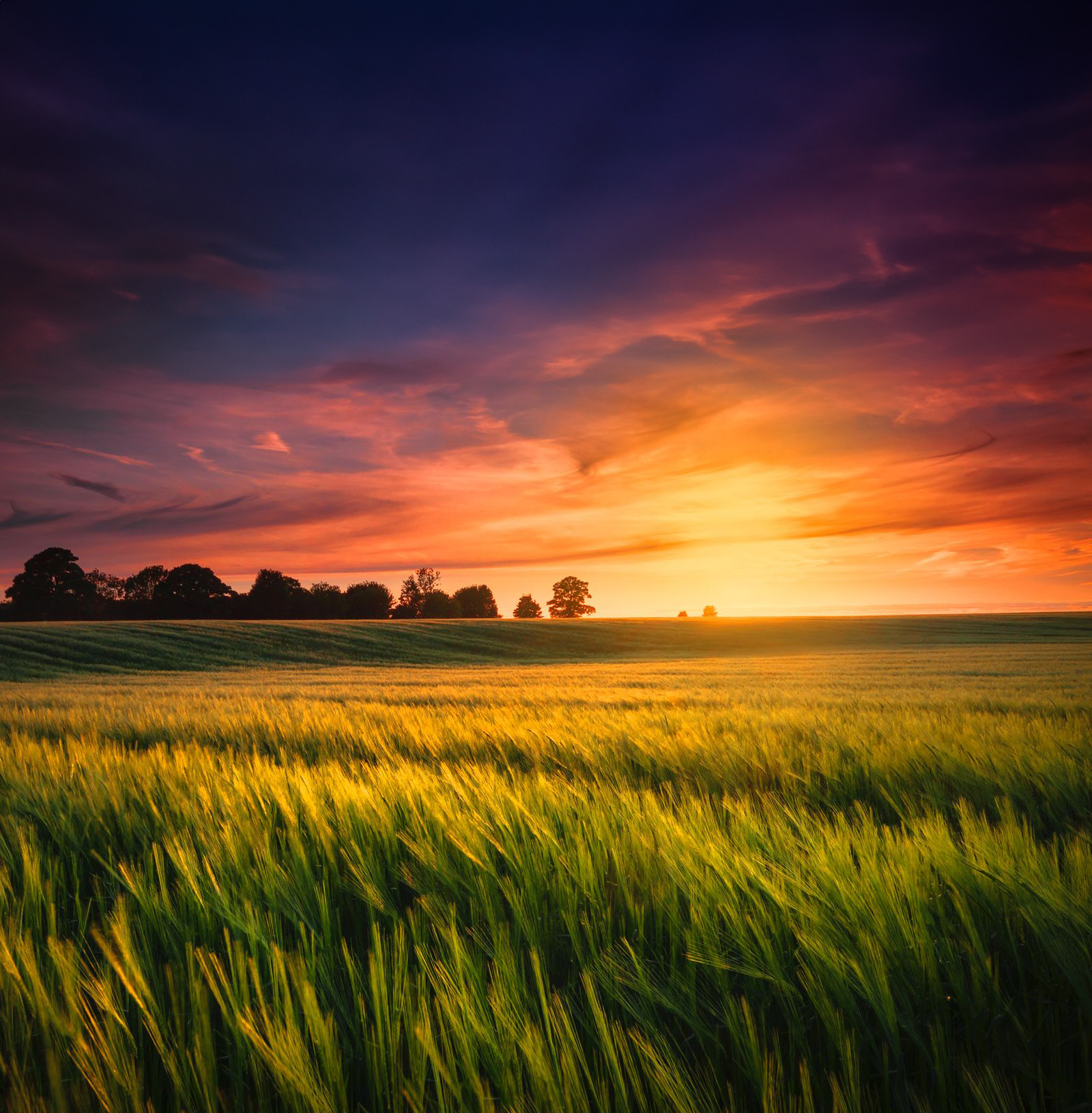 Rural Homes For Sale Indianasupport And Help.Html - q67z5tk